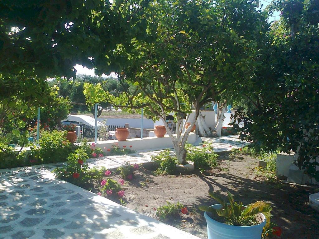 Dionysia Studios Kéfalos Exterior foto